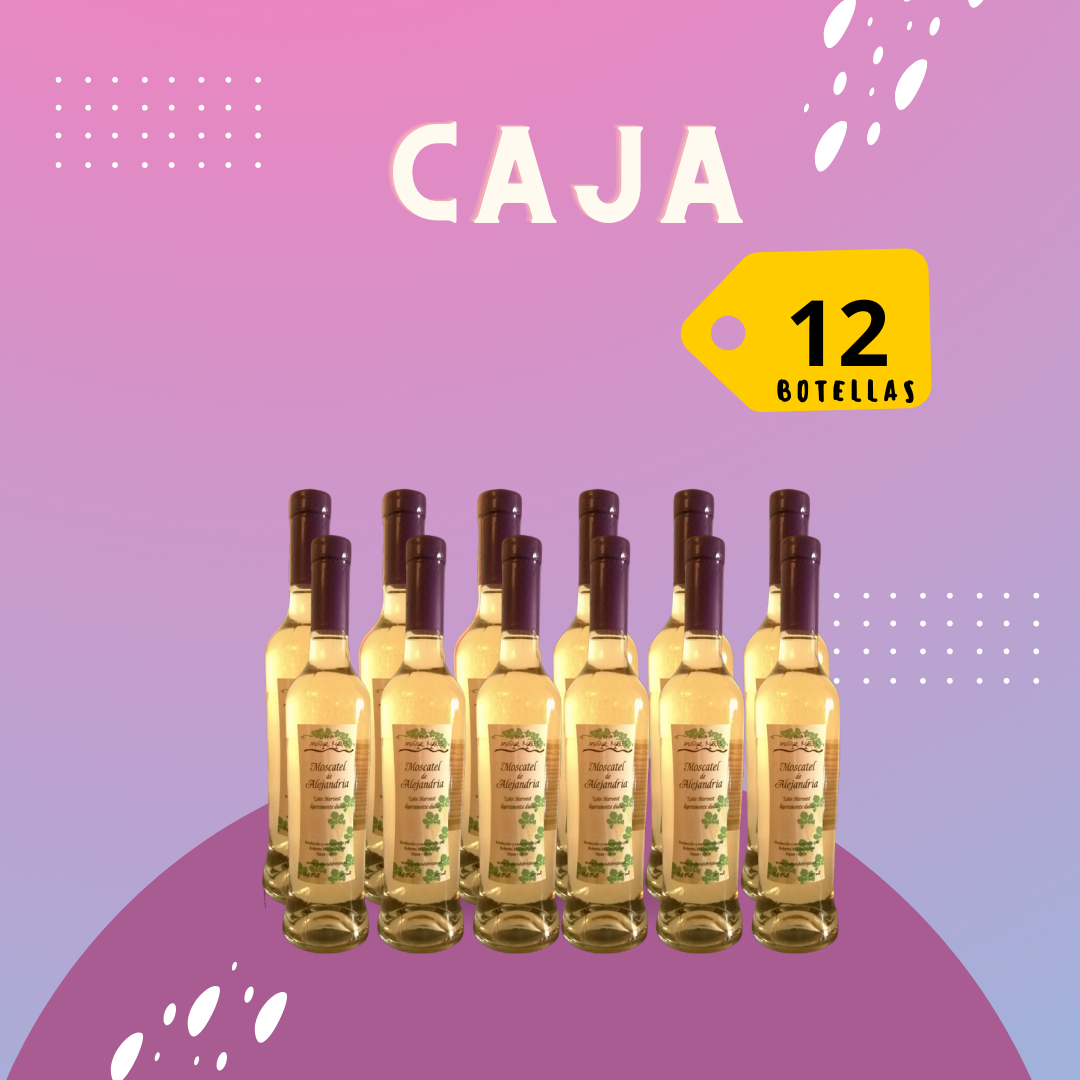 12x Late Harvest Moscatel de Alejandría